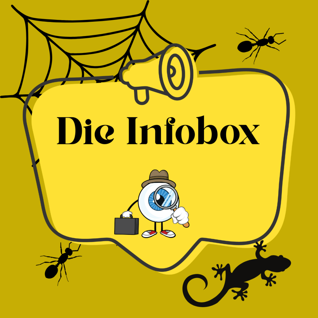 Die Info-Box