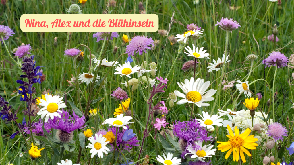 Nina, Alex und die&nbsp;Blühinsel